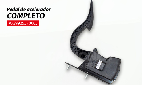 Pedal De Acelerador Completo